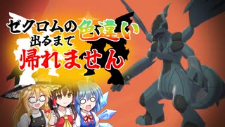 【ゆっくり実況】あなたにも起こりうる。色違いゼクロム【ポケモン剣盾】