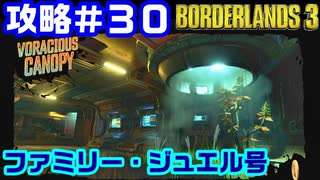 攻略#30【ボーダーランズ３】ファミリー・ジュエル号