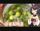 きりたんは梅しごとに取りかかるようです【下処理・梅酒づくり】　