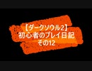 【ダークソウル2】 初心者のプレイ日記 その12