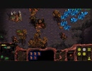 StarcraftRemastered スタークラフト実況プレイ2-21(頭をなくしたブルード)