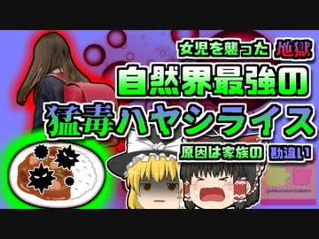 【1999年千葉】女児を襲った地獄の日々 「自然界最強の毒入りハヤシライス」を食べてしまい食中毒に...【ゆっくり解説】