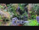 音質悪くて「トイレ流す音を紛らわすBGM」みたいになった