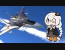 【Warthunder/RB】あかりちゃんとF14A