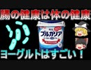 【ゆっくり解説】ヨーグルトは毎日食べよう！ヨーグルトが体にもたらすメリットとは！？