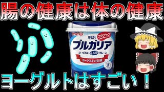 【ゆっくり解説】ヨーグルトは毎日食べよう！ヨーグルトが体にもたらすメリットとは！？