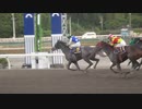 第50回高知優駿(自分撮り)