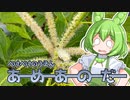 2022年6月18日　農作業日誌P299　KazSatと草対策と9号音声　VOICEVOX　MYCOEIROINK