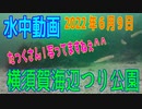 水中動画（2022年6月9日）in 横須賀海辺つり公園