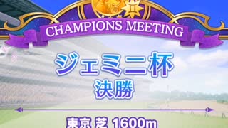 ウマ娘　ジェミニ杯B決勝