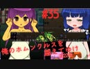 【リョナ】お赤飯炊く前の女の子のお腹が大きくなってる件について #35【ゆっくり実況】【俺のホムンクルスを越えてゆけ2022年版】