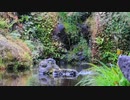 音を加工してそれっぽくするだけの動画