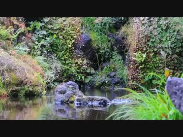 音を加工してそれっぽくするだけの動画