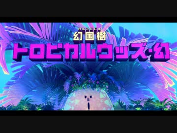 【実況】星のカービィ ディスカバリーをいい大人達が本気で遊んでみた。part32【2人プレイ】