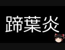 【ゆっくり朗読】ゆっくりさんと不思議な病気 その509