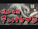 【ゆっくり解説】どんな未確認生物？ -吸血UMAチュパカブラの真相-