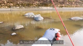 【渓流釣り】2021年狩野川解禁！濁った川でも魚は掛かる【静岡・黄瀬川】