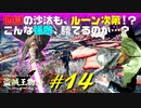 【初見】エルデンリング実況／盗賊王物語【オフライン】#14