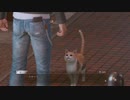 【アラフォーBBAの事件簿】Lost Judgment:裁かれざる記憶　初見実況 part.56