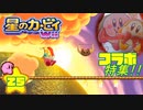 収集してきたカービィグッズをWii攻略ついでに大公開や！！【25】