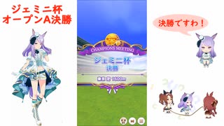 【ウマ娘】ジェミニ杯～オープンA決勝～