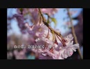 【初音ミク】春の恋、泡沫の如く、儚く【オリジナル】