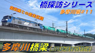 【橋探訪（多摩川編）#11】多摩川橋梁（JR武蔵野貨物線）で通過列車を満喫したい