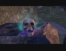Elder Scrolls Online＃49