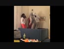 インスタ動画2013-2016パート33