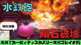 【実況】アラサー夫婦が全力で楽しむ星のカービィディスカバリー！＃15