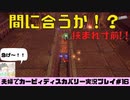 【実況】アラサー夫婦が全力で楽しむ星のカービィディスカバリー！＃16