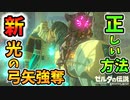 新光の弓矢強奪の正しいやり方&乗馬しながらハイラル王と話すと？【ブレワイ BotW】裏技 バグ 検証 ゆっくり実況 glitch