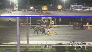 第30回北斗賞 アオノブラック