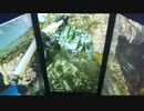 戦場の絆Ⅱ　メサなんとか541