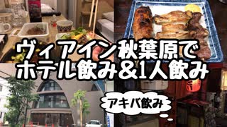 【ホテル飲み】ヴィアイン秋葉原でホテル飲み＆居酒屋1人飲み【秋葉原】