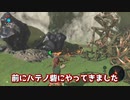 【ゆっくり実況】18日目:ゼルダの伝説ブレスオブザワイルド弓縛り実況。