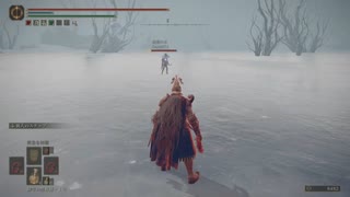 チキン野郎のゲーム日記 エルデンリング編 その27