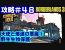 攻略#48【ボーダーランズ３】天使と爆速の悪魔①