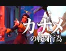 カナメの戦闘行為【フォートナイト/Fortnite/キル集】