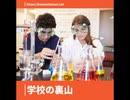 学校の裏山【ゆっくり朗読】