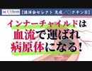 赤血球とインナーチャイルドの関係　2022年5月3日「ホメオパシーDay」より