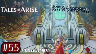 #55【テイルズオブアライズ】手を取り合う痛みと温もりを【女性実況】