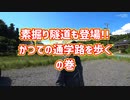 【廃道＆廃トンネル】陸軍騎兵少佐が作ってくれたトンネル～日天様トンネル・天神様トンネル(市原市吉沢)