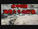 仁淀川  海老の行進