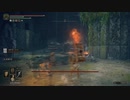 【ELDEN RING】発売日からトロコンするまで【実況】 part80