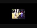 【SIREN NT】新訳 ノープランで楽しむSIREN実況 アーカイブ編 part2