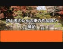 【お燐とジェガンの東方初心者記】その３補遺　いろいろな補足