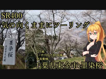 【弦巻マキ車載】弦巻マキのSRぶらり旅～墨染桜を見に東金へ～　