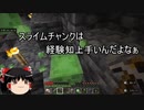【マイクラ】ゆっくり実況【マルチ】経験値稼ぎと鉄鉱石集め中の出来事