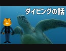 沖縄旅行で役に立つ？ダイビングの話